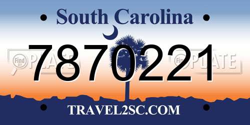 7870221 South Carolina License Plate