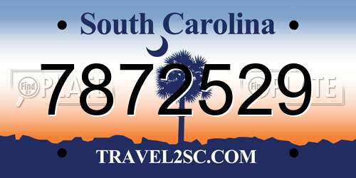 7872529 South Carolina License Plate