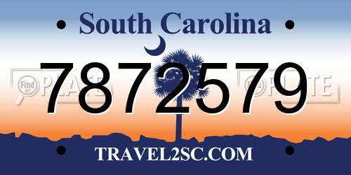 7872579 South Carolina License Plate