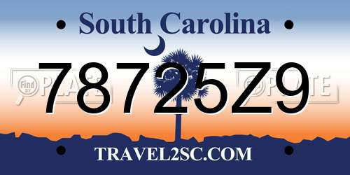 78725Z9 South Carolina License Plate
