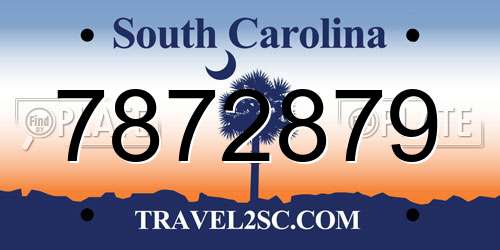 7872879 South Carolina License Plate