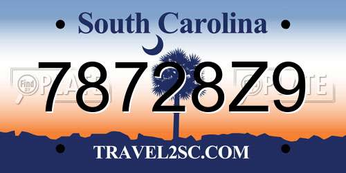 78728Z9 South Carolina License Plate