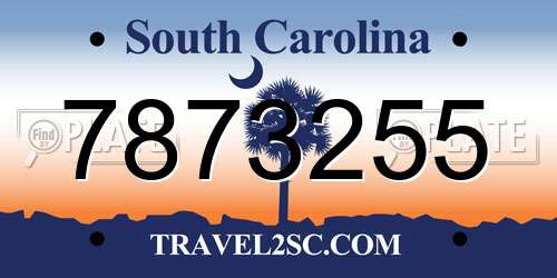 7873255 South Carolina License Plate