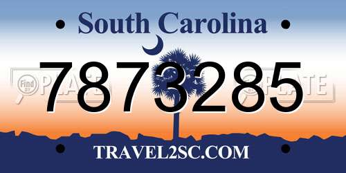 7873285 South Carolina License Plate