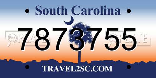 7873755 South Carolina License Plate