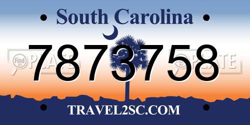 7873758 South Carolina License Plate