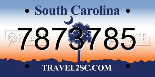 7873785 South Carolina License Plate