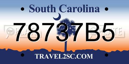 78737B5 South Carolina License Plate
