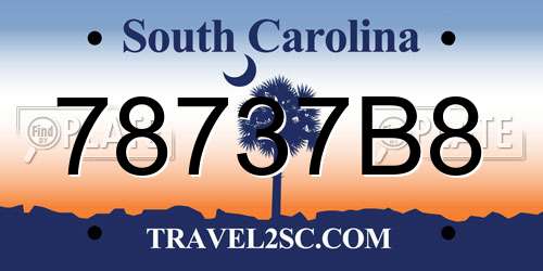 78737B8 South Carolina License Plate
