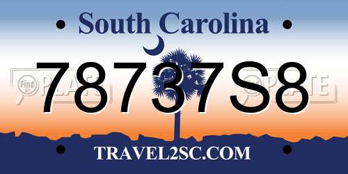 78737S8 South Carolina License Plate