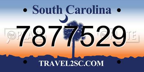7877529 South Carolina License Plate