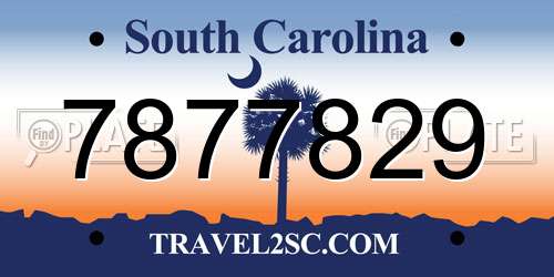 7877829 South Carolina License Plate