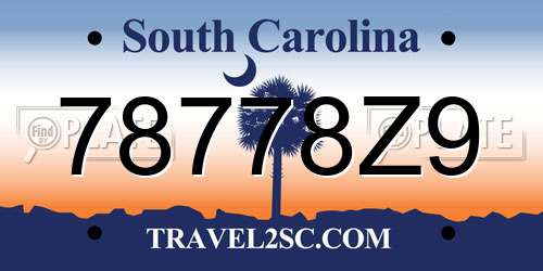 78778Z9 South Carolina License Plate