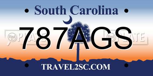 787AGS South Carolina License Plate
