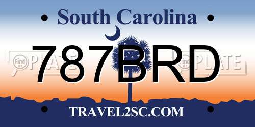 787BRD South Carolina License Plate