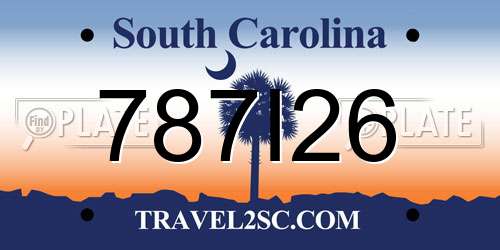787I26 South Carolina License Plate
