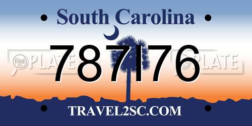 787I76 South Carolina License Plate