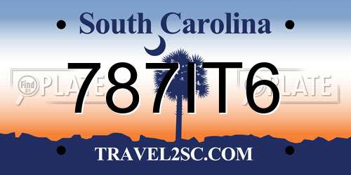 787IT6 South Carolina License Plate