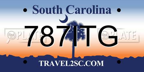 787ITG South Carolina License Plate