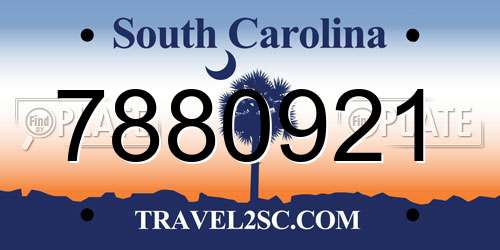 7880921 South Carolina License Plate