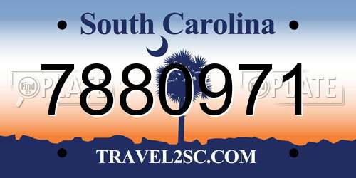 7880971 South Carolina License Plate