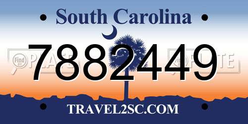 7882449 South Carolina License Plate