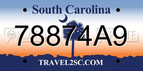 78874A9 South Carolina License Plate