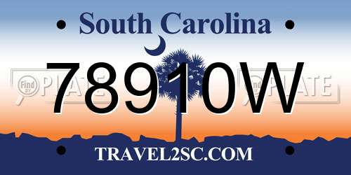 78910W South Carolina License Plate