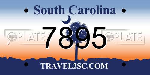 7895 South Carolina License Plate
