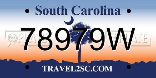 78979W South Carolina License Plate