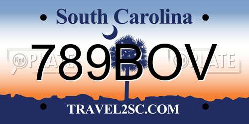 789BOV South Carolina License Plate