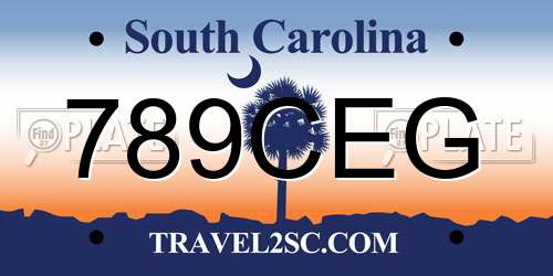 789CEG South Carolina License Plate