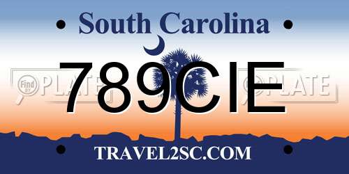 789CIE South Carolina License Plate