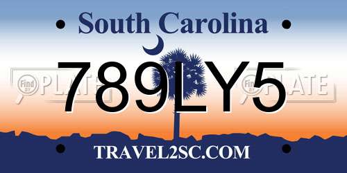 789LY5 South Carolina License Plate