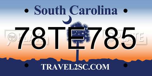 78TE785 South Carolina License Plate