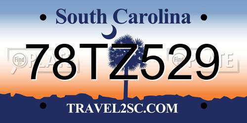 78TZ529 South Carolina License Plate