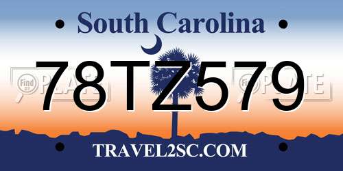 78TZ579 South Carolina License Plate