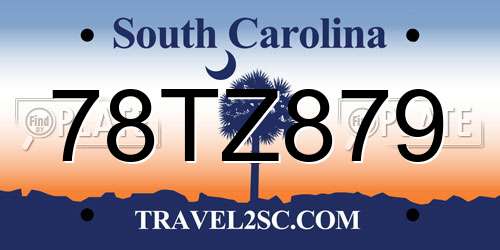 78TZ879 South Carolina License Plate