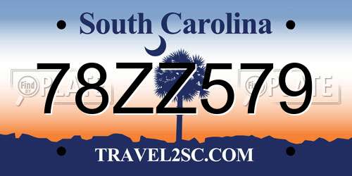 78ZZ579 South Carolina License Plate