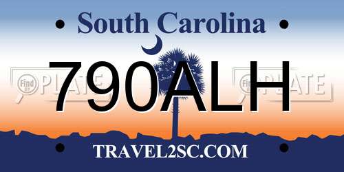 790ALH South Carolina License Plate