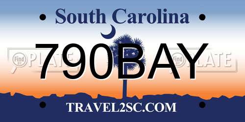 790BAY South Carolina License Plate