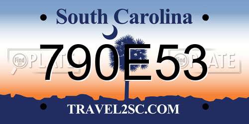 790E53 South Carolina License Plate