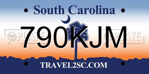 790KJM South Carolina License Plate