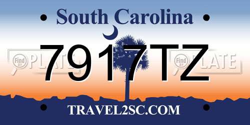 7917TZ South Carolina License Plate