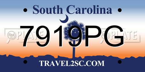 7919PG South Carolina License Plate