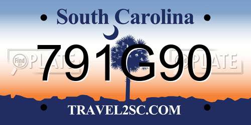 791G90 South Carolina License Plate