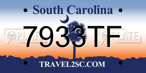 7933TF South Carolina License Plate