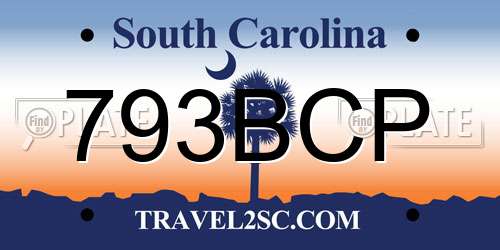793BCP South Carolina License Plate