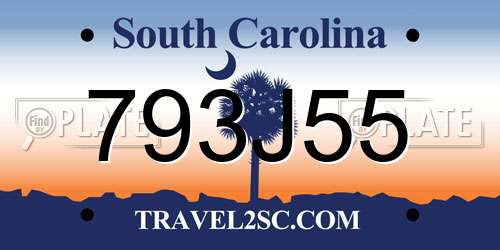 793J55 South Carolina License Plate