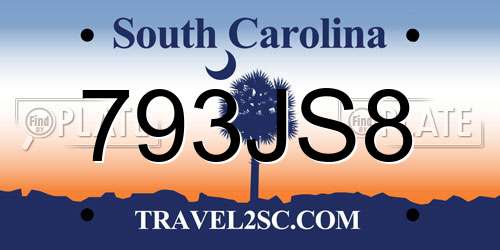 793JS8 South Carolina License Plate